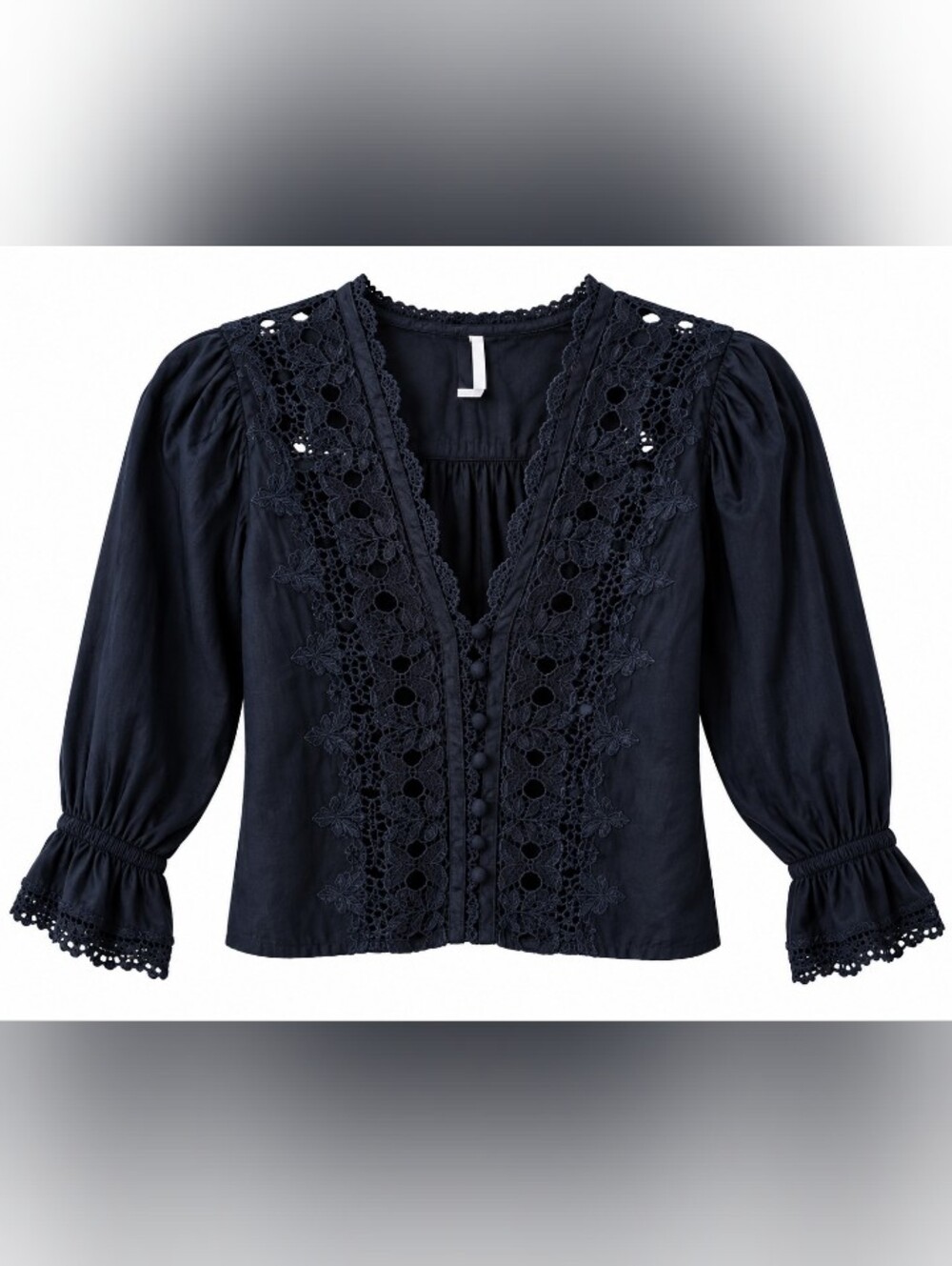 Embroidered V-Neck Eyelet Button Down Blouse